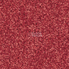 Ковролин Balsan First Class 550 фото 1 | FLOORDEALER