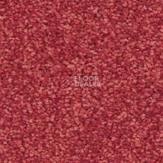 Ковролин Balsan First Class 550 фото 1 | FLOORDEALER