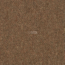 Shaw Momentum 02721 фото 1 | FLOORDEALER