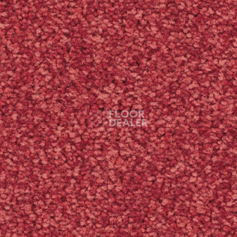 Ковролин Balsan First Class 550 фото 1 | FLOORDEALER