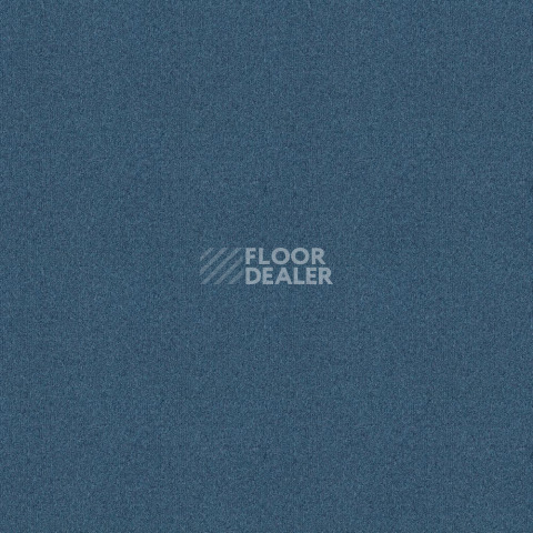 Ковровая плитка Forbo Tessera basis pro 4123 Midnight Blue фото 1 | FLOORDEALER