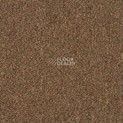 Ковровая плитка Shaw Momentum 02721 фото 1 | FLOORDEALER