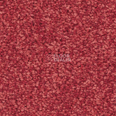 Ковролин Balsan First Class 550 фото 1 | FLOORDEALER