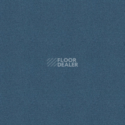 Ковровая плитка Forbo Tessera basis pro 4123 Midnight Blue фото 1 | FLOORDEALER