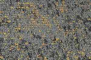 Ковровая плитка Neuflor Desert 600902 + Gold фото  | FLOORDEALER