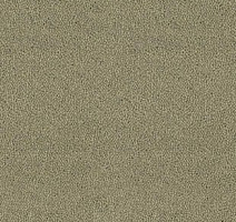 Ковролин Desso Asteranne 7945 фото 1 | FLOORDEALER