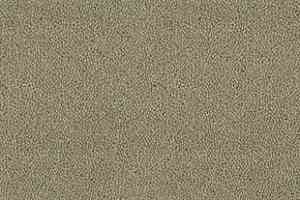 Ковролин Desso Asteranne 7945 фото  | FLOORDEALER