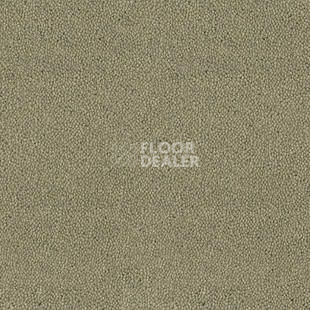 Ковролин Desso Asteranne 7945 фото 1 | FLOORDEALER