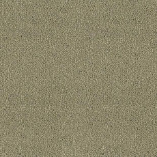 Ковролин Desso Asteranne 7945 фото 1 | FLOORDEALER