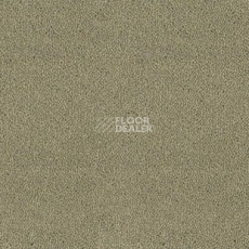 Ковролин Desso Asteranne 7945 фото 1 | FLOORDEALER