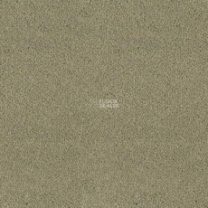 Desso Asteranne 7945 фото 1 | FLOORDEALER