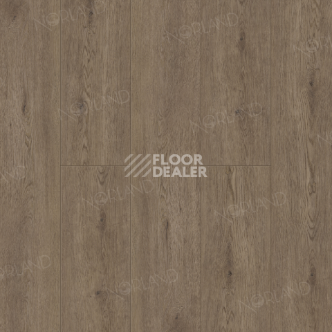 Кварцвиниловые полы Norland Sigrid 3.5мм 1001-08  FLOSI фото 1 | FLOORDEALER