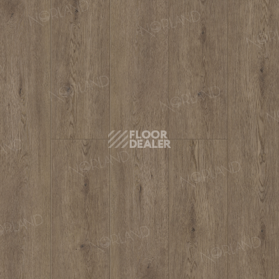 Кварцвиниловые полы Norland Sigrid 3.5мм 1001-08  FLOSI фото 1 | FLOORDEALER