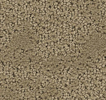 Ковролин Balsan Louvre 605 фото 1 | FLOORDEALER