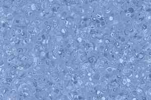 Линолеум Grabo Fortis Cobalt фото  | FLOORDEALER