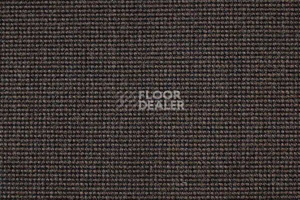 Ковролин Carpet Concept Eco 500 6913 фото 1 | FLOORDEALER