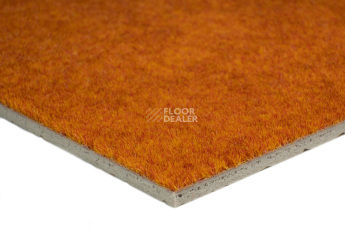 Flotex Colour s 290024 Calgary Fire фото 3 | FLOORDEALER