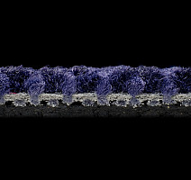 Balsan Stoneage 890 фото 3 | FLOORDEALER