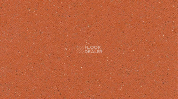 Линолеум Tarasafe Standard 7115_Flame фото 1 | FLOORDEALER