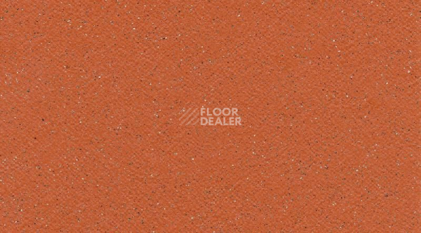 Линолеум Tarasafe Standard 7115_Flame фото 1 | FLOORDEALER