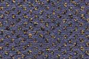 Ковролин Condor Carpets Argus 347 фото  | FLOORDEALER