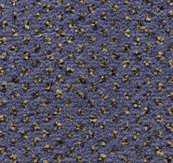 Ковролин Condor Carpets Argus 347 фото 1 | FLOORDEALER