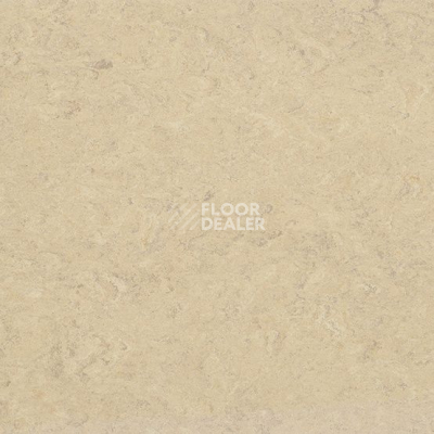 Линолеум Marmorette DLW  2mm 0243 Marble Beige фото 1 | FLOORDEALER