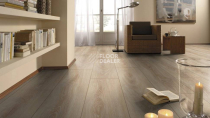 Kronotex Exquisit Plus d4164 Дуб Деревенский фото 2 | FLOORDEALER