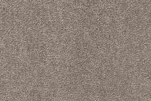 Ковролин Vorwerk Passion 1004 Vorwerk 5v31 фото  | FLOORDEALER