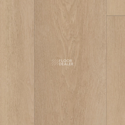Ламинат Kronotex Exquisit Plus d81102 Дуб Абсолют бежевый фото 1 | FLOORDEALER