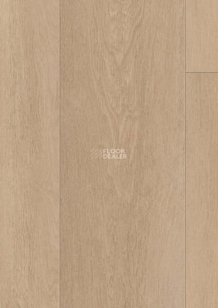 Ламинат Kronotex Exquisit Plus d81102 Дуб Абсолют бежевый фото 1 | FLOORDEALER