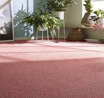 Vorwerk Essential 1008