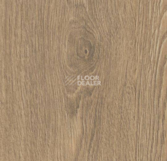 Кварцвиниловые полы Forbo Allura Click Decibel 60078 фото 1 | FLOORDEALER