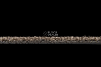 Standard Carpets Spectrum sm 545 фото 4 | FLOORDEALER