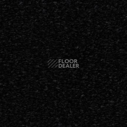 Ковролин Edel Bellezza 199 фото 1 | FLOORDEALER