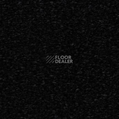 Ковролин Edel Bellezza 199 фото 1 | FLOORDEALER