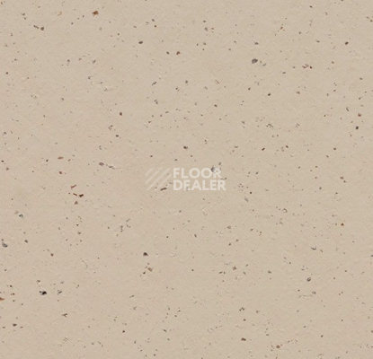Линолеум Forbo Marmoleum Decibel on Order 359035 meringue фото 1 | FLOORDEALER
