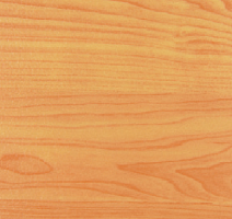 Линолеум Active Sports AS-651.83 Maple фото 1 | FLOORDEALER