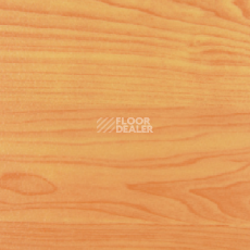 Линолеум Active Sports AS-651.83 Maple фото 1 | FLOORDEALER