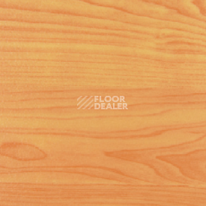 Линолеум DLV Flooring Active Sports AS-651.83 Maple фото 1 | FLOORDEALER