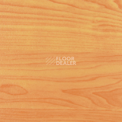 Линолеум DLV Flooring Active Sports AS-651.83 Maple фото 1 | FLOORDEALER