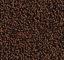 Ковролин Desso Cassini 2055 фото 1 | FLOORDEALER