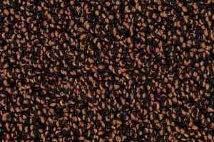 Ковролин Desso Cassini 2055 фото  | FLOORDEALER