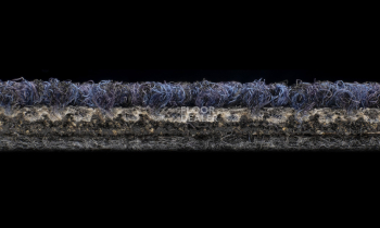 Desso Essence 3842 фото 3 | FLOORDEALER