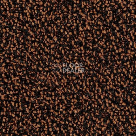 Ковролин Desso Cassini 2055 фото 1 | FLOORDEALER