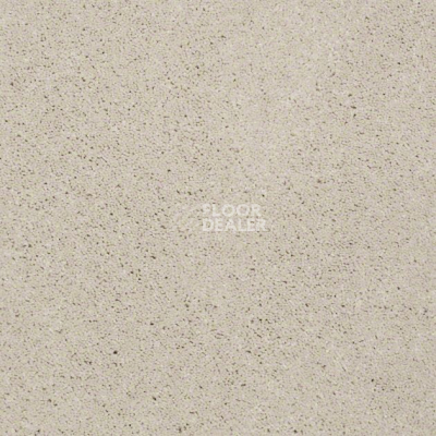 Ковролин Shaw Design Texture Platinum 104 фото 1 | FLOORDEALER