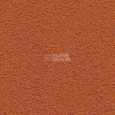 Ковролин Desso Marathon 5112 фото 1 | FLOORDEALER