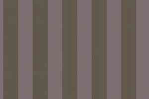 Ковролин Big Carus Sunrise 008-24878 фото  | FLOORDEALER