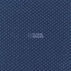 Ковролин Sintelon Podium 47913 фото 1 | FLOORDEALER