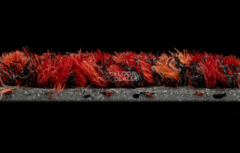 Forbo Coral Brush 5723 Cardinal Red фото 3 | FLOORDEALER